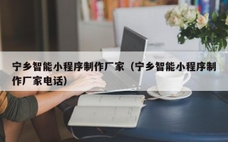 桐城宁乡智能小程序制作厂家（宁乡智能小程序制作厂家电话）
